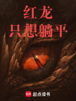 小說(shuō)《/data/image/1047.jpg》封面