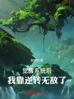 小說(shuō)《/data/image/11258.jpg》封面