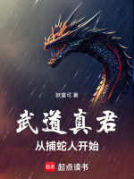 小說(shuō)《/data/image/11399.jpg》封面