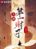 小說(shuō)《/data/image/11797.jpg》封面
