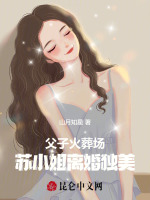 小說(shuō)《/data/image/118.jpg》封面