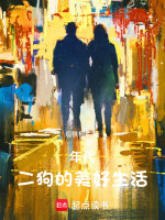 小說(shuō)《/data/image/13665.jpg》封面