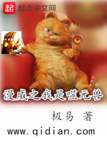 小說《/data/image/13704.jpg》封面