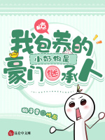 小說(shuō)《/data/image/141.jpg》封面
