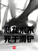 小說(shuō)《/data/image/15263.jpg》封面