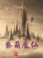 小說《/data/image/17071.jpg》封面