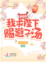 小說(shuō)《/data/image/17076.jpg》封面