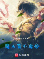 小說(shuō)《/data/image/19391.jpg》封面