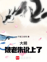 小說(shuō)《/data/image/2035.jpg》封面