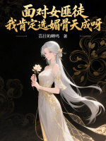 小說(shuō)《/data/image/20365.jpg》封面