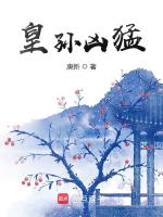 小說(shuō)《/data/image/2067.jpg》封面
