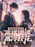 小說(shuō)《/data/image/2133.jpg》封面