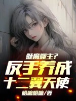 小說(shuō)《/data/image/21379.jpg》封面