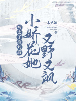 小說(shuō)《/data/image/21996.jpg》封面