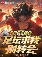 小說(shuō)《/data/image/22101.jpg》封面