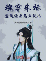 小說《/data/image/22243.jpg》封面