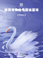 小說《/data/image/22949.jpg》封面