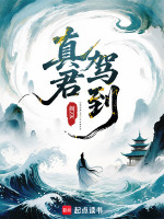 小說(shuō)《/data/image/23071.jpg》封面