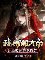 小說(shuō)《/data/image/23258.jpg》封面