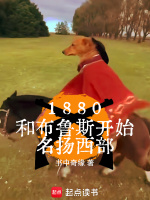 小說《/data/image/23985.jpg》封面
