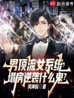 小說(shuō)《/data/image/241.jpg》封面