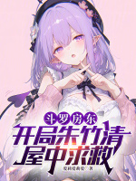 小說(shuō)《/data/image/24215.jpg》封面