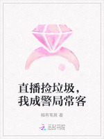小說《/data/image/24264.jpg》封面