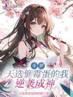 小說(shuō)《/data/image/24336.jpg》封面