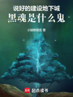 小說《/data/image/24544.jpg》封面