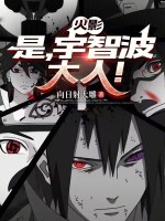 小說(shuō)《/data/image/24558.jpg》封面