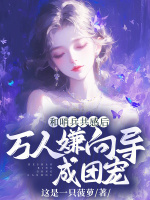 小說(shuō)《/data/image/24657.jpg》封面