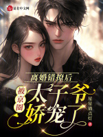 小說(shuō)《/data/image/2511.jpg》封面