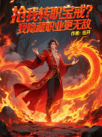 搶我轉(zhuǎn)職寶戒？我隱藏職業(yè)更無敵小說封面