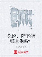 你說，陛下能原諒我嗎？小說封面