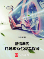 激情年代:開局成為七級(jí)工程師小說(shuō)封面