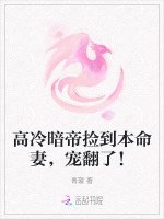小說《/data/image/26218.jpg》封面
