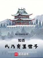 知否：我乃兗王世子小說(shuō)封面