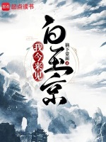 小說(shuō)《/data/image/4140.jpg》封面