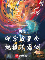小說(shuō)《/data/image/4419.jpg》封面