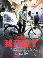 小說(shuō)《/data/image/4732.jpg》封面
