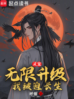 小說(shuō)《/data/image/4811.jpg》封面