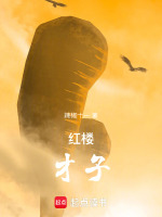 小說(shuō)《/data/image/52.jpg》封面