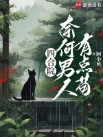 小說(shuō)《/data/image/5249.jpg》封面