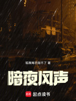 小說(shuō)《/data/image/6929.jpg》封面