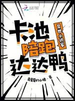小說(shuō)《/data/image/6996.jpg》封面
