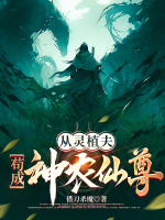 小說(shuō)《/data/image/7455.jpg》封面