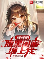 小說(shuō)《/data/image/8519.jpg》封面