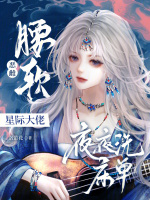 小說(shuō)《/data/image/9506.jpg》封面